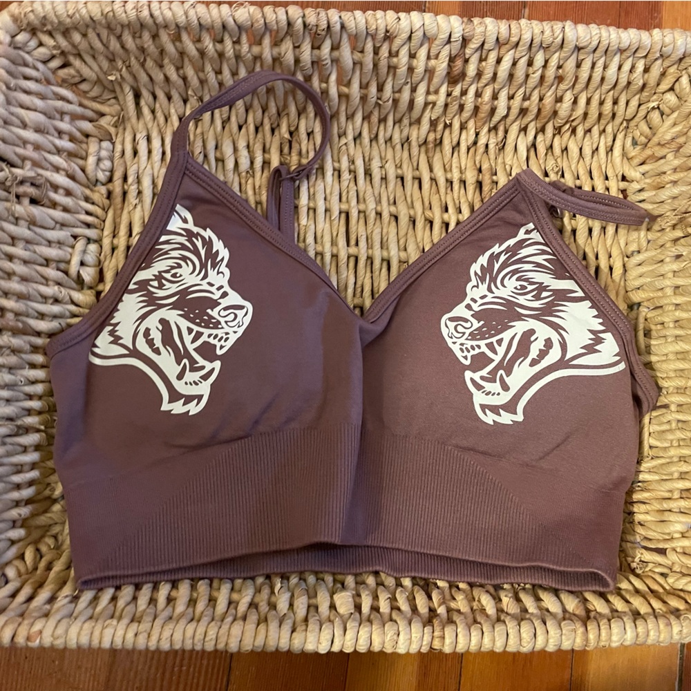 Darc Sport Wolf Sports Bra Purple